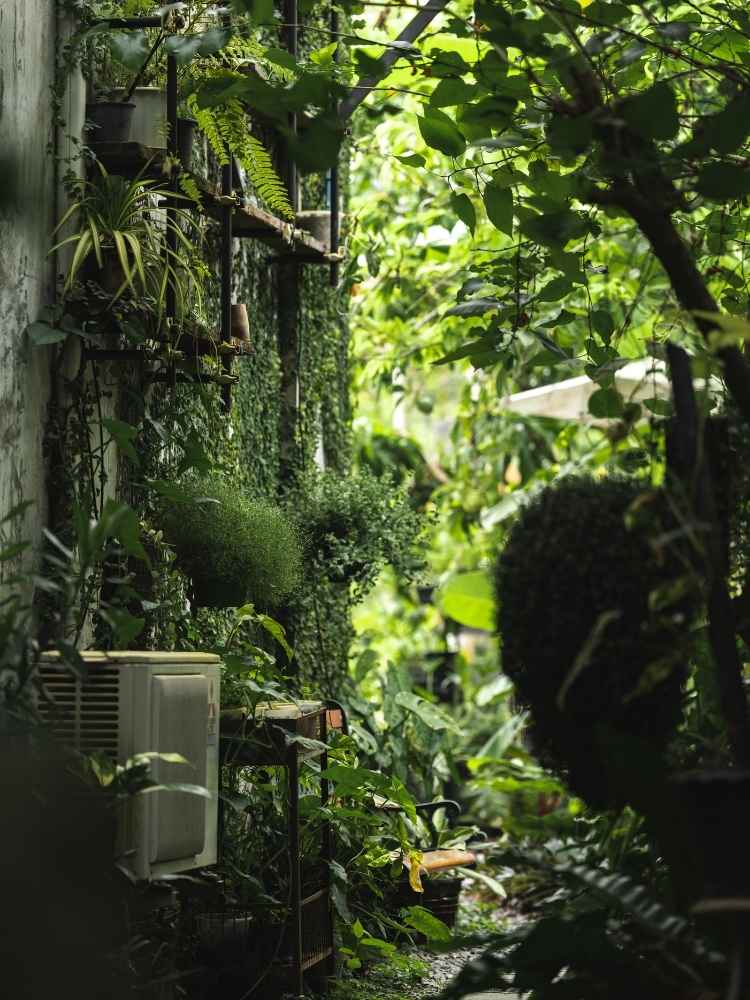 outdoor garden