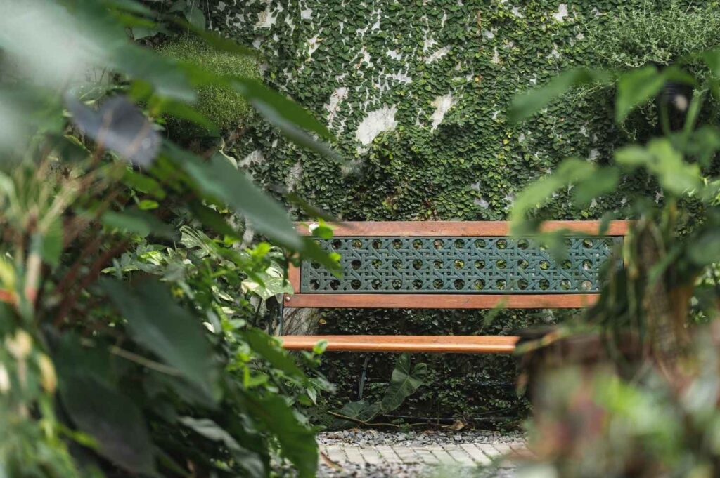 outdoor garden