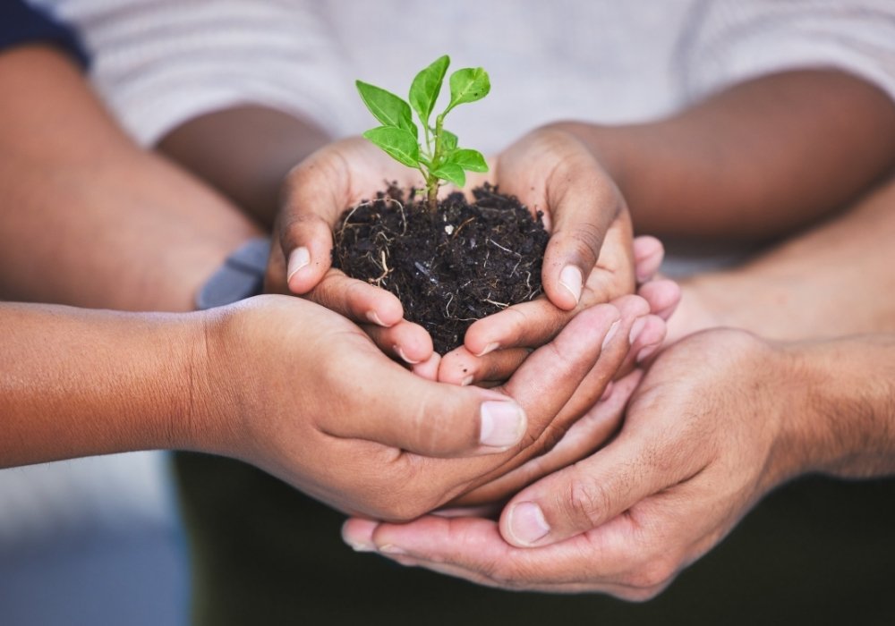 Why Choose Our Green Team Bonding Workshop?