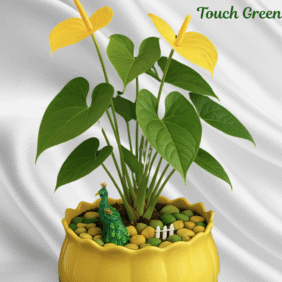 Peacock Paradise Planter