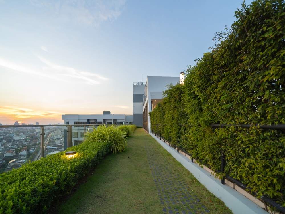 Roof top & Balcony Garden