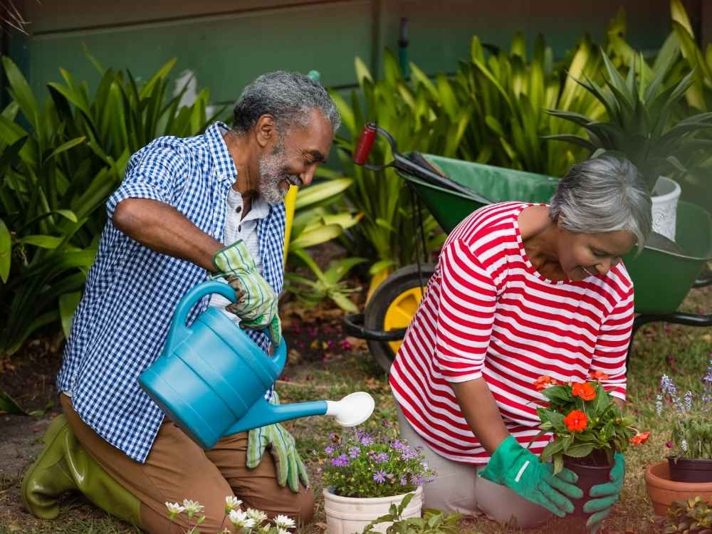 Garden Maintenance