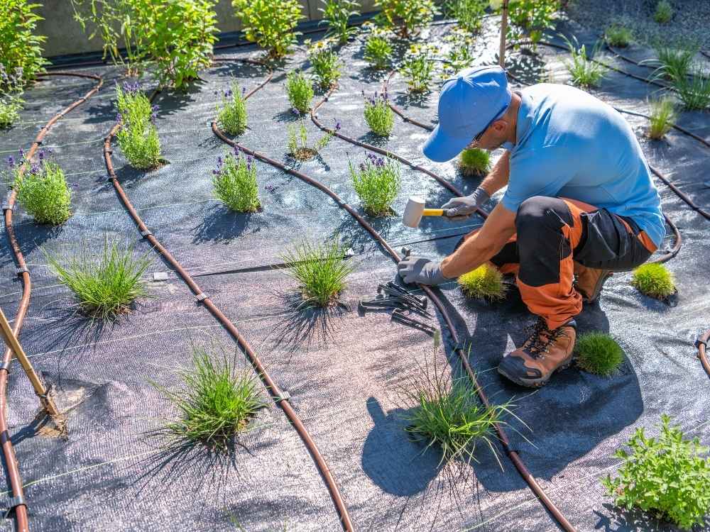 Garden Irrigation