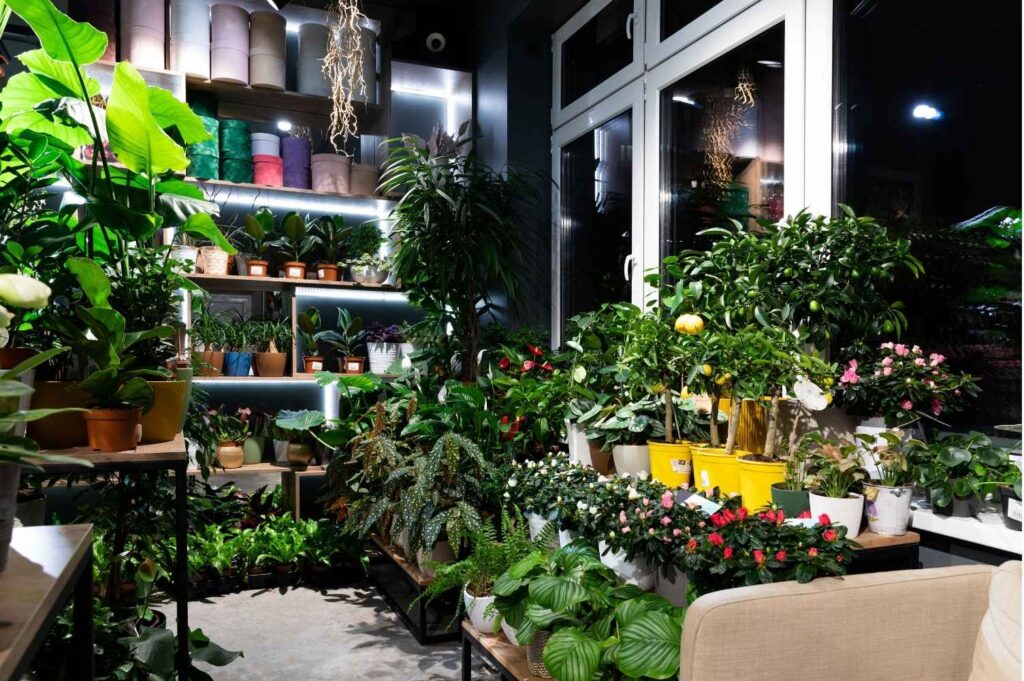 indoor garden