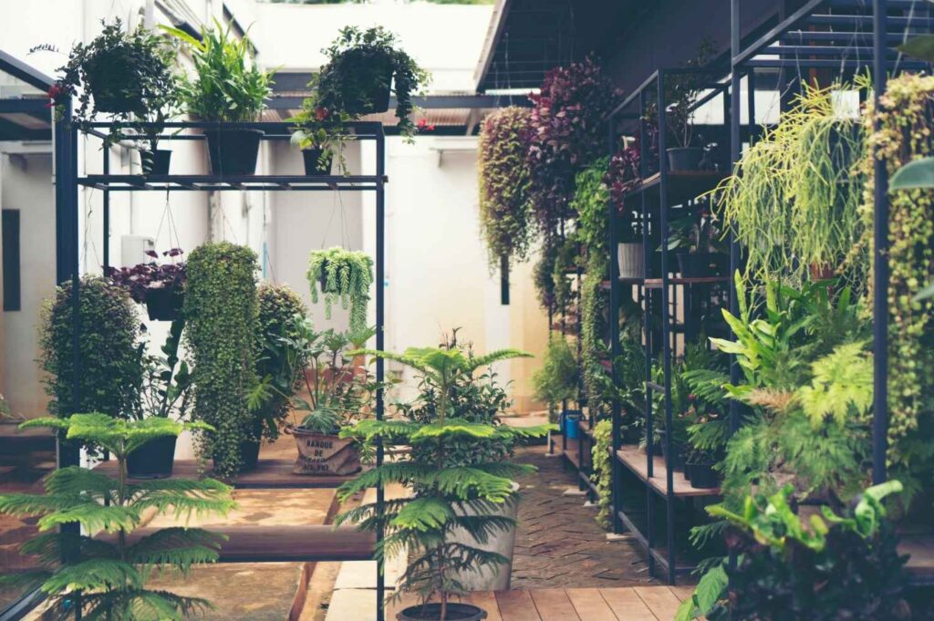 Roof top & Balcony Garden