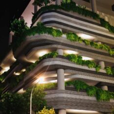 Roof top & Balcony Garden Roof top & Balcony Garden