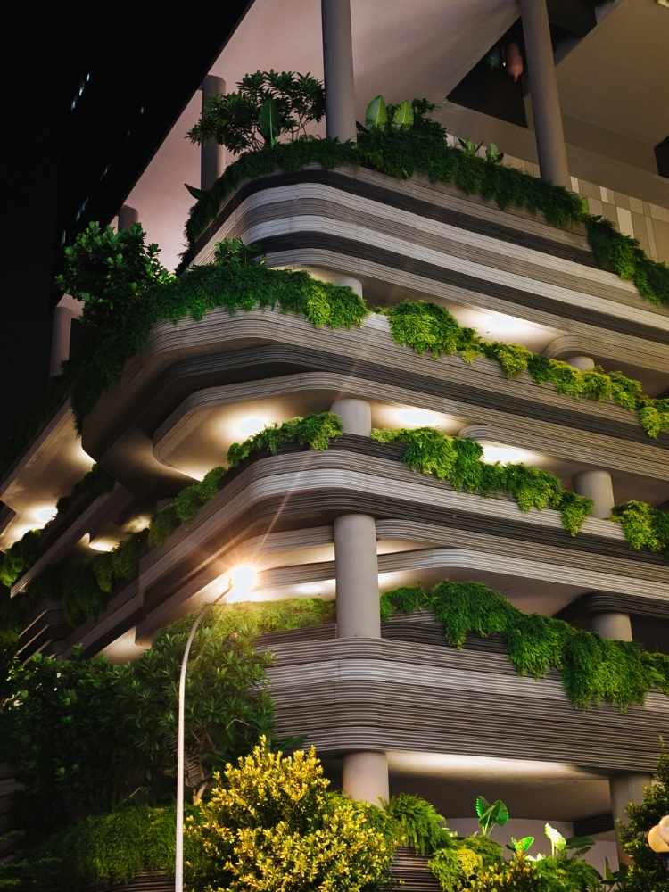 Roof top & Balcony Garden