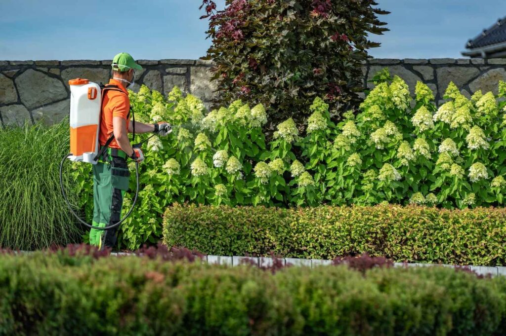 Garden Maintenance