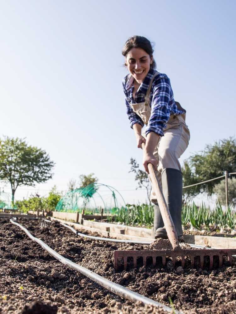 Garden Irrigation