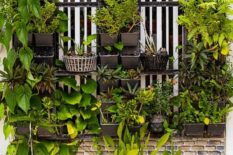 Vertical Garden Vertical Garden