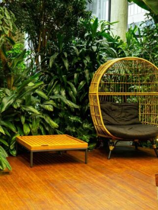 Biophilic Consultancy Biophilic Consultancy