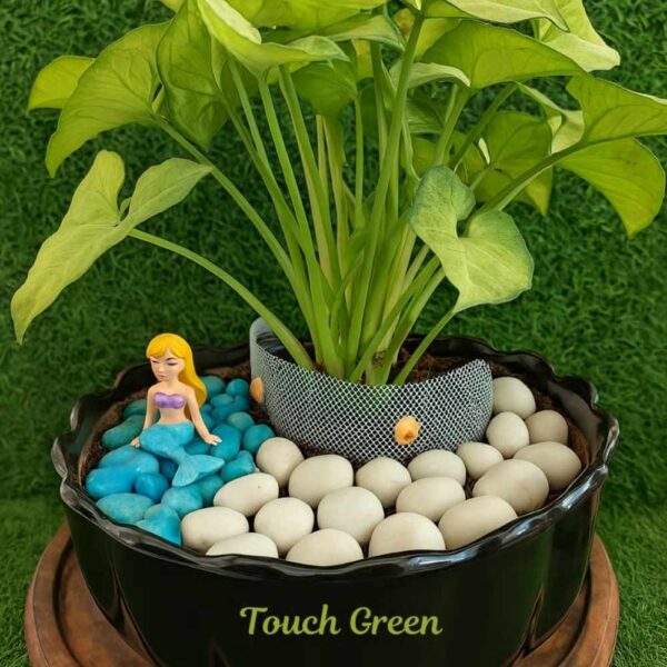 Mermaid Theme Planter