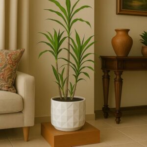 Lucky Bamboo Tree – TG GraceGlow01