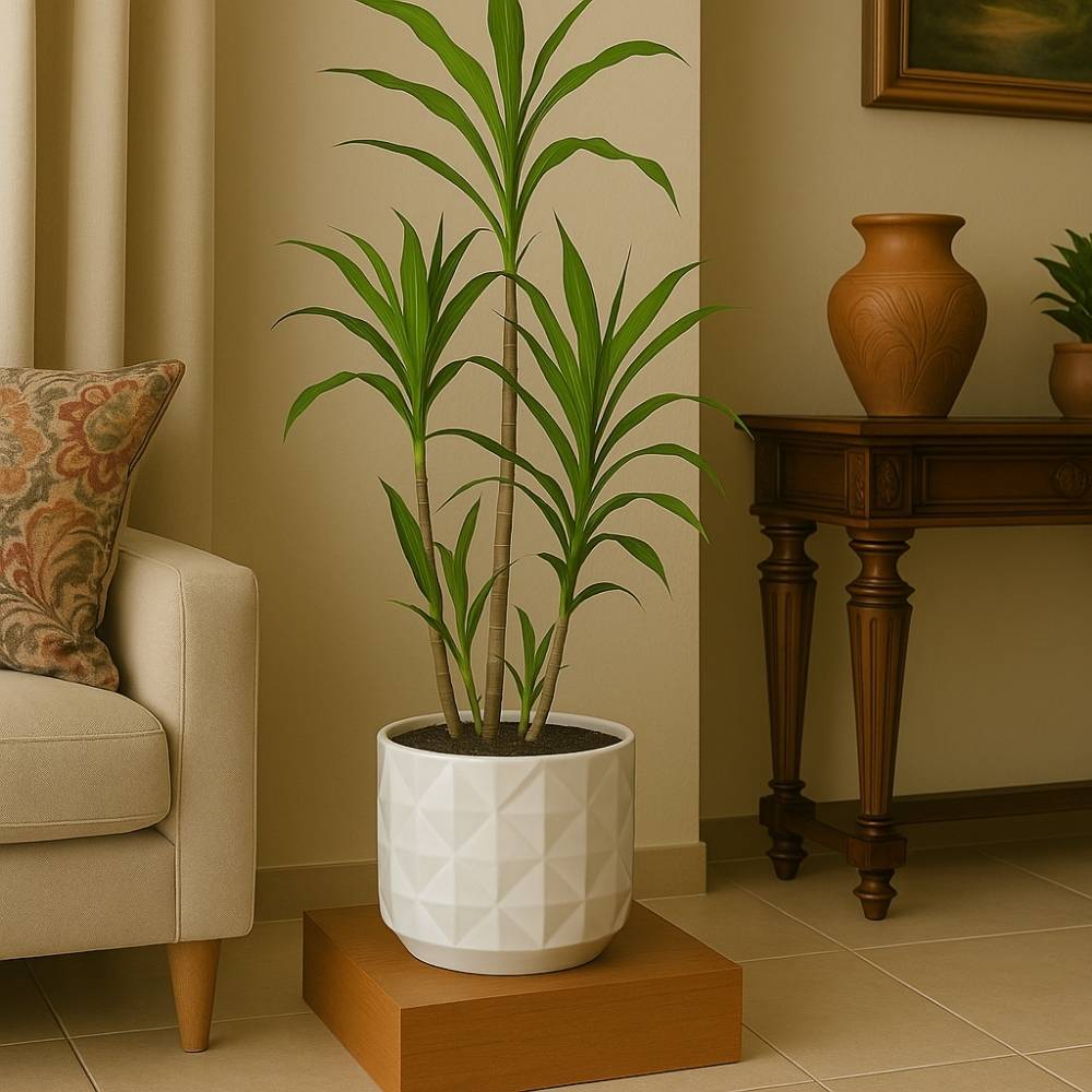 Lucky Bamboo Tree – TG GraceGlow01