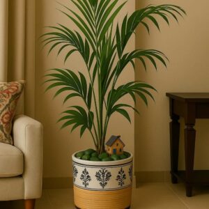 Palm Retreat – TG CalmCorner02