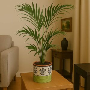 Palm Grace – TG HomeHaven03