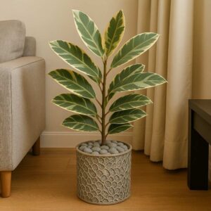 Regal Leaf – TG LuxeAir04