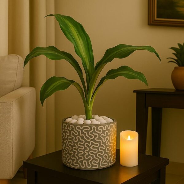 PeaceGlow Lily Planter