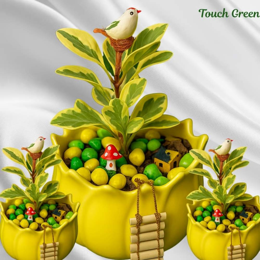 Bird on Pepperomia
