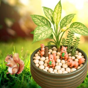 squirrel garden