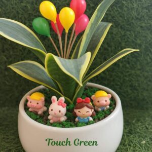 Children with Sanseveria