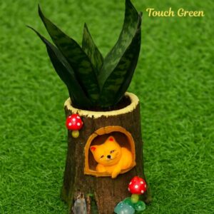 wood log with Snake Plant