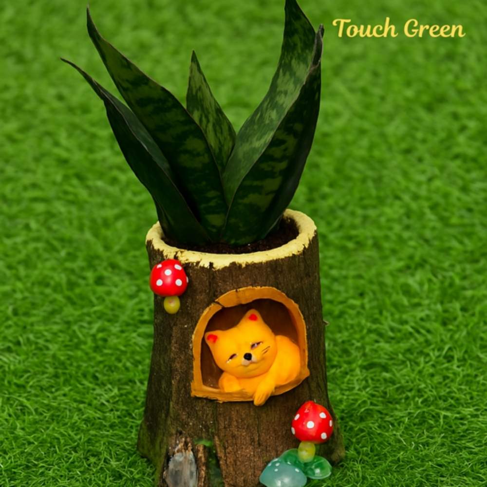 wood log with Snake Plant