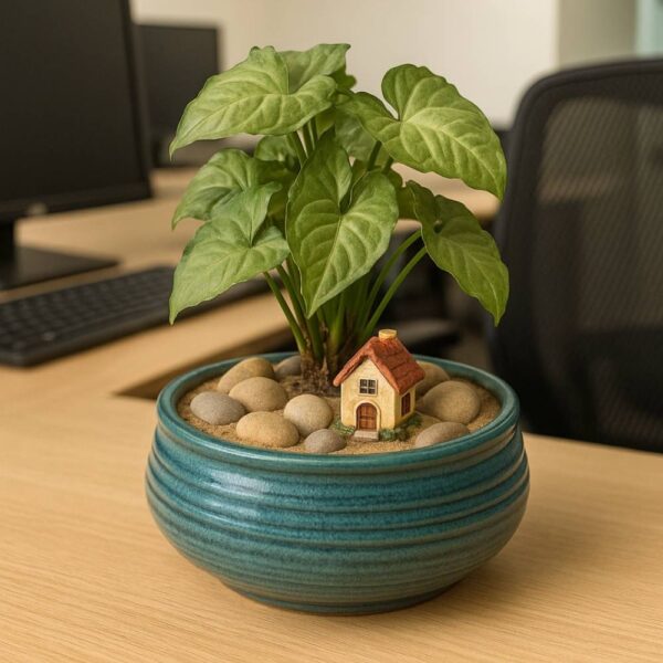 Tiny Home Haven indoor planter