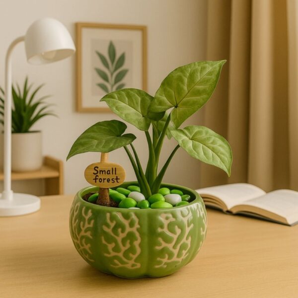 Small Indoor Forest Planter