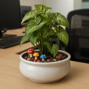 Whimsy Bowl – TG JoyGarden01