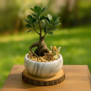 Dream Big Bonsai – TG MagicRoots06