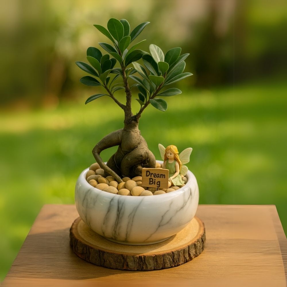 Dream Big Bonsai – TG MagicRoots06