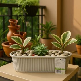 Zen garden tray for home