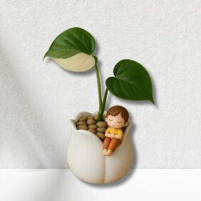 DreamNap Indoor Bonsai Planter
