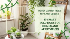 Indoor Garden Ideas for Small Spaces