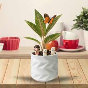Puppy Love Mini Garden