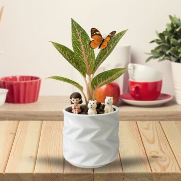 Puppy Love Mini Garden