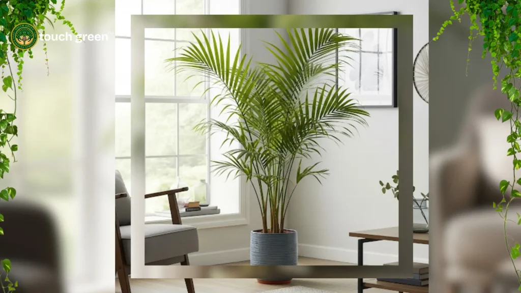 air purifier in the home