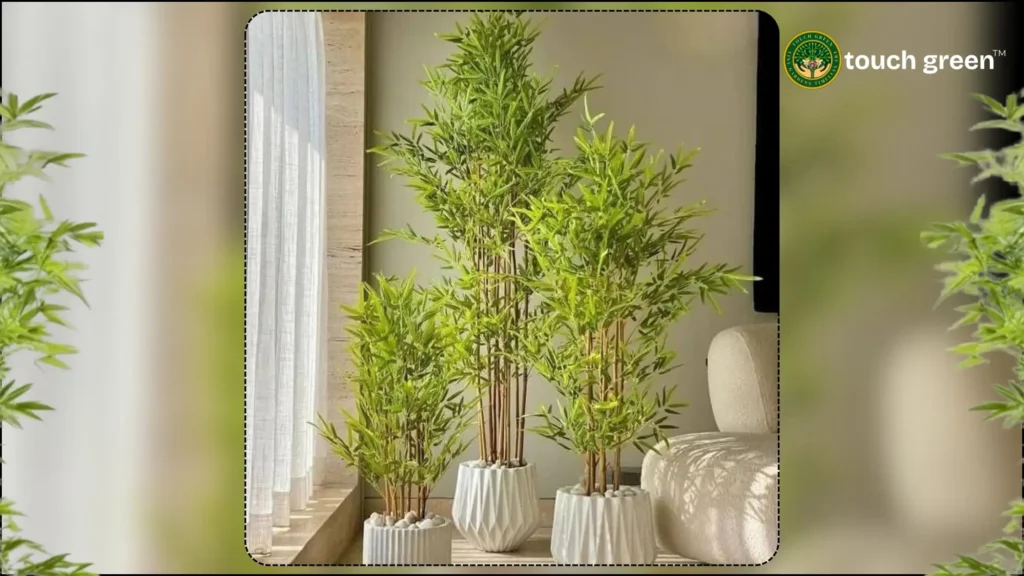 low-maintenance indoor plant