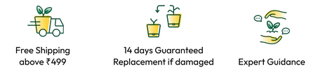 touchgreen